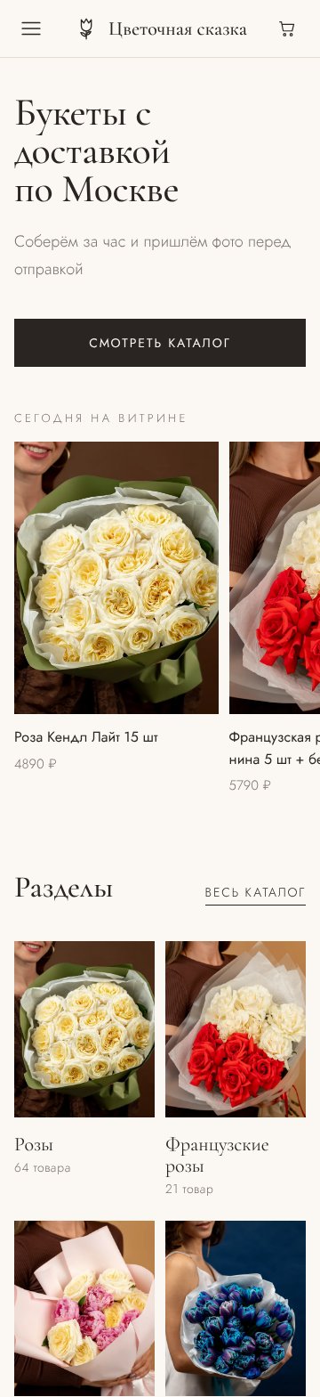 «Салон» на телефоне